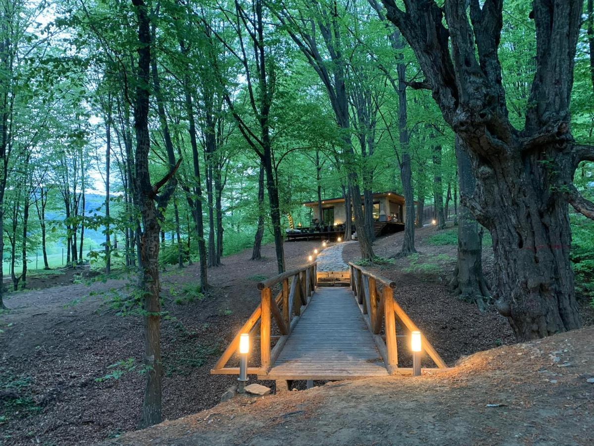 Luxury Lake House & Glamping Βίλα Teşila Εξωτερικό φωτογραφία