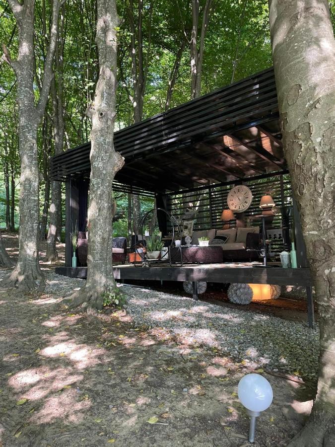 Luxury Lake House & Glamping Βίλα Teşila Εξωτερικό φωτογραφία